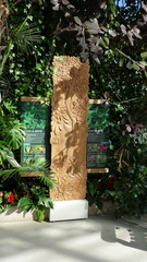 P1000168