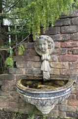 Lady green fountain