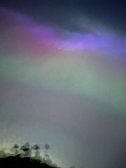Z- Vic Aurora