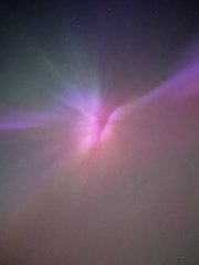 Z- Vic Aurora