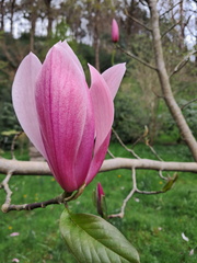 AnneJ 20240414 134655