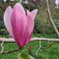 AnneJ 20240414 134655