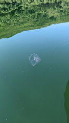 GB3