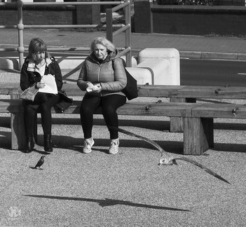 Paul - at Cleveleys - keep hold of your chips, he'll ave'em!