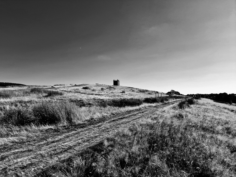 20240811_171509-EDIT.jpg