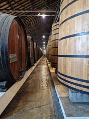 AllanJ - Winery Douro Valley 18-09-2024