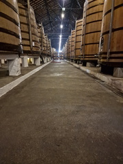 AllanJ - Winery Douro Valley 18-09-2024
