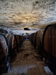 AllanJ - Winery Arrabida  area 23-09-2024