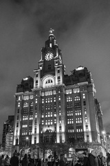 liver birds b &amp; w
