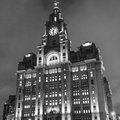 liver birds b & w