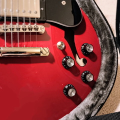 Sallie M 1 My New Guitar