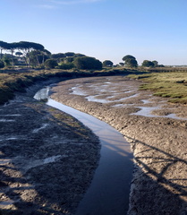 AlanY - Tendal Cano at low tide.