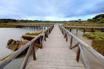AlanY - Boardwalk over the Tendal Cano.
