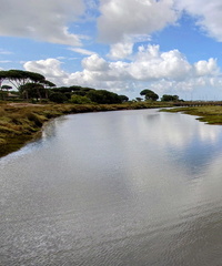 AlanY - The Tendal cano at high tide. 