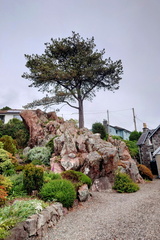 A Rockcliffe rock garden
