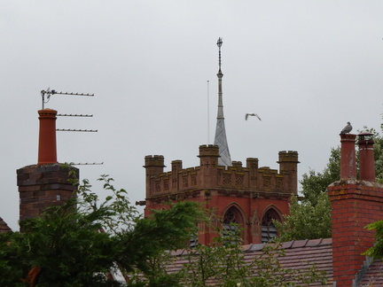 P1011921