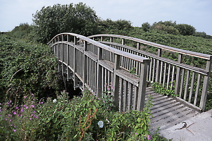 Brian - Footbridge near Dobbies