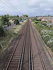 Brian - From Blue Bridge