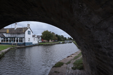 Brian - Saracens Head