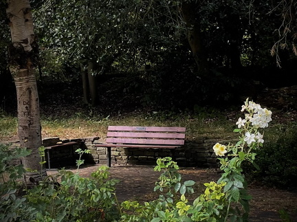 Kar - Hesketh Park Rose Garden 1