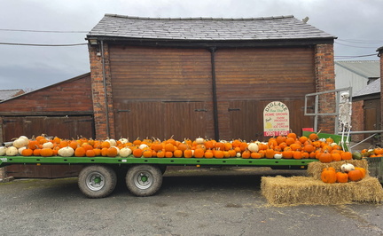 Autumn  Pick Up A Pumkin