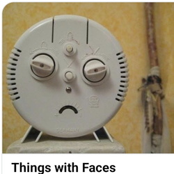 2026-01 Could Be a Face