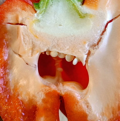 IH - But you should see the other guy! 