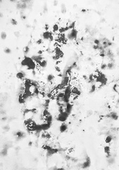 Jenny - Egyptian Pharaoh