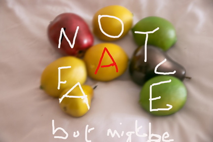 Pamela Jackson Not a Face 1