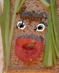 Pamela Jackson Not a Face 2