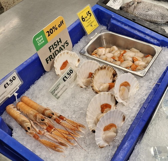 Brian - Shellfish