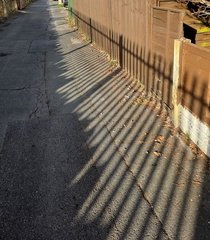 Early Mornin g Pathway