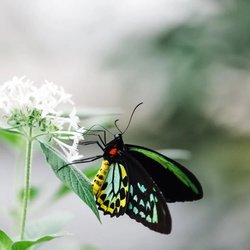 2026-08 Nature