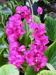 Madeira - 3
